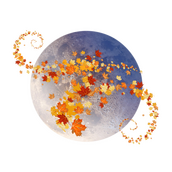 Maple Moon Arts VT